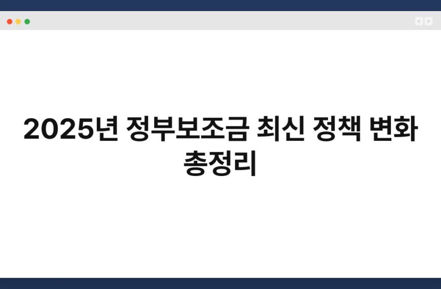 2025년 정부보조금 최신 정책 변화 총정리 6