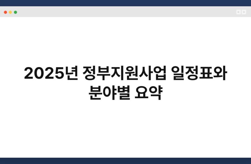 2025년 정부지원사업 일정표와 분야별 요약 5
