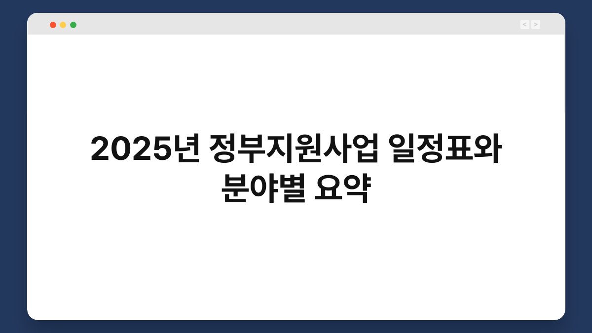 2025년 정부지원사업 일정표와 분야별 요약 1