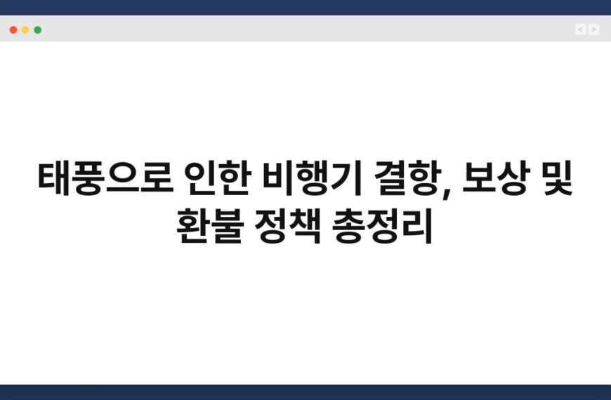 태풍으로 인한 비행기 결항, 보상 및 환불 정책 총정리
