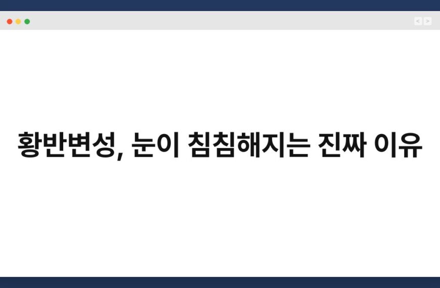 황반변성, 눈이 침침해지는 진짜 이유 3