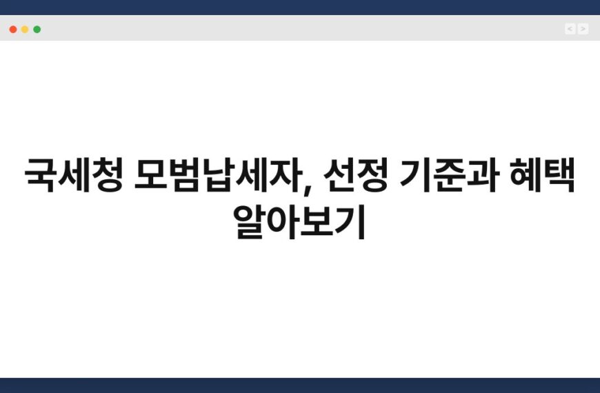 국세청 모범납세자, 선정 기준과 혜택 알아보기 4