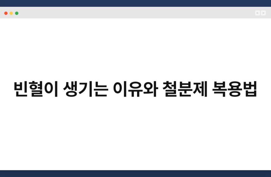 빈혈이 생기는 이유와 철분제 복용법