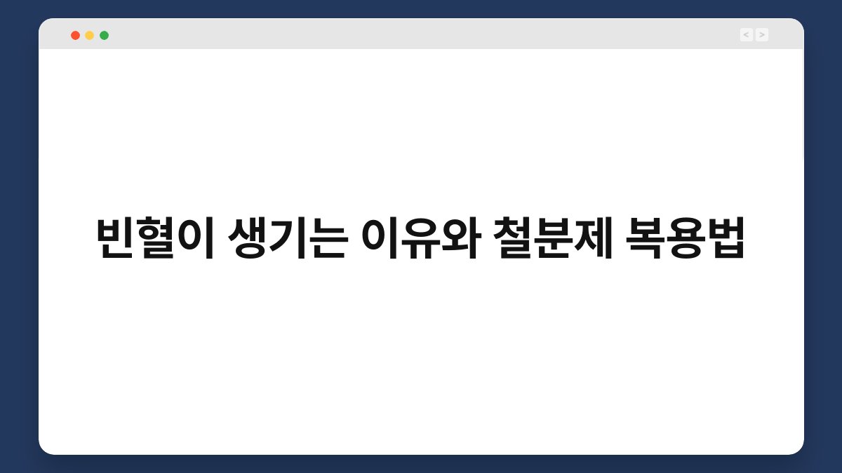 빈혈이 생기는 이유와 철분제 복용법 1