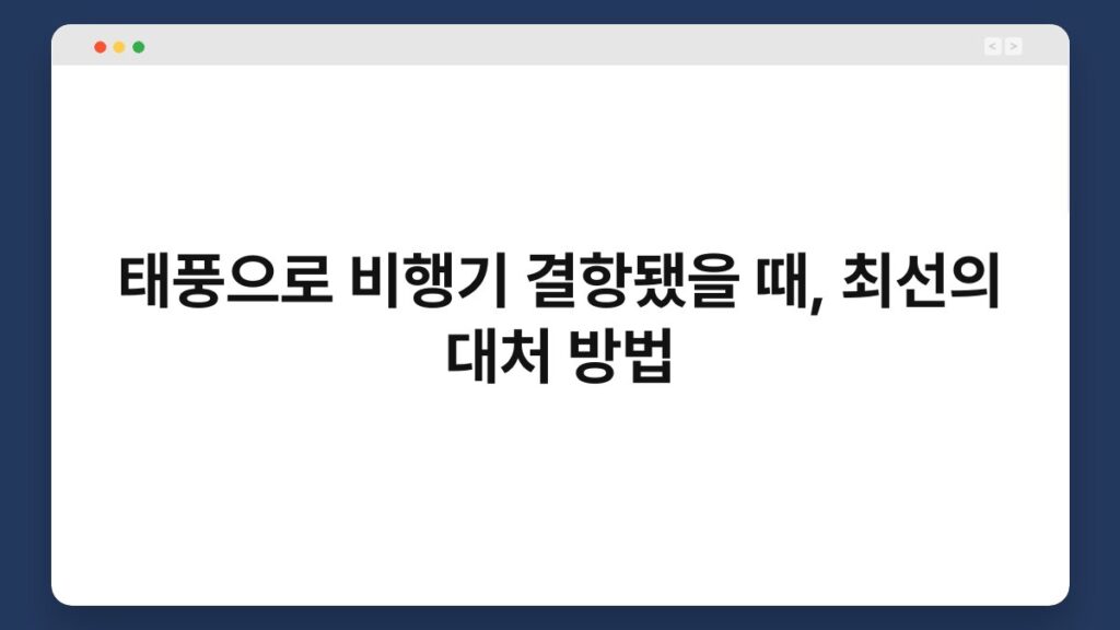 태풍으로 비행기 결항됐을 때, 최선의 대처 방법 2