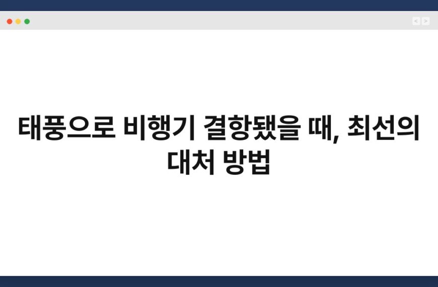 태풍으로 비행기 결항됐을 때, 최선의 대처 방법