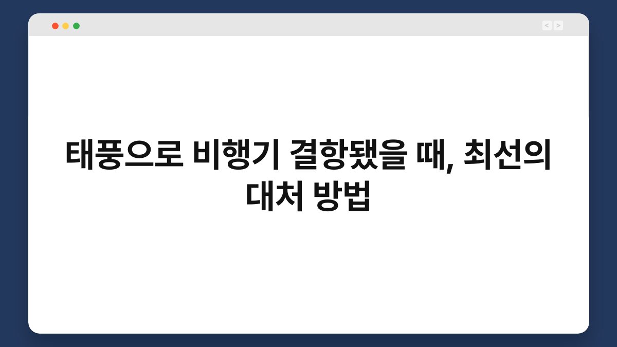 태풍으로 비행기 결항됐을 때, 최선의 대처 방법 1
