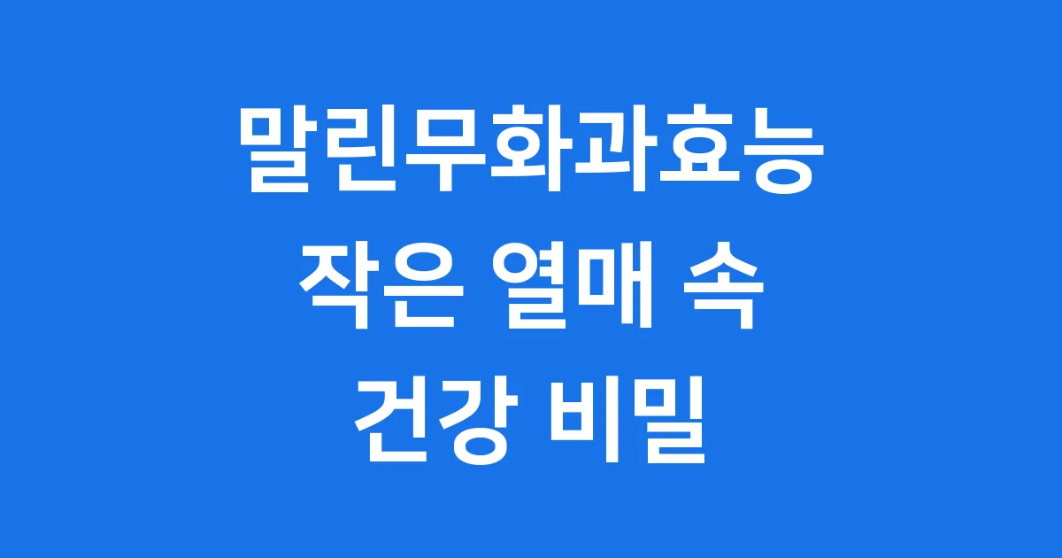 말린 무화과 효능